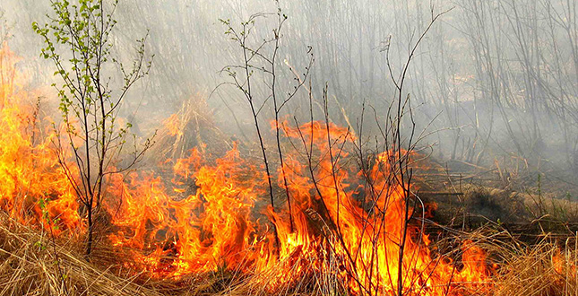 18-23 червня очікується висока та надзвичайна пожежна небезпека – Укргідрометцентр