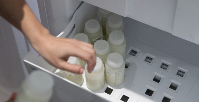 Микола Поворозник: «Із Банку грудного молока донорське молоко отримали 115 малюків»