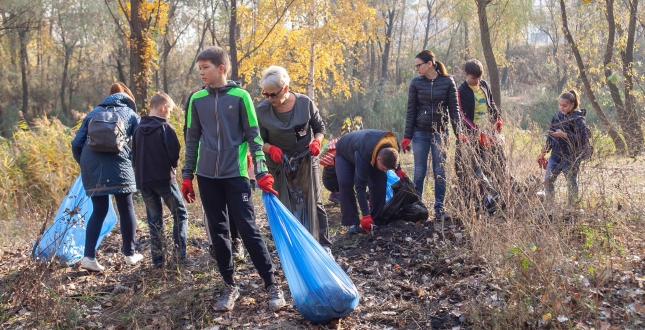 Цієї суботи в Києві відбулось понад 20 толок, учасники висадили 1300 дерев та 1375 кущів