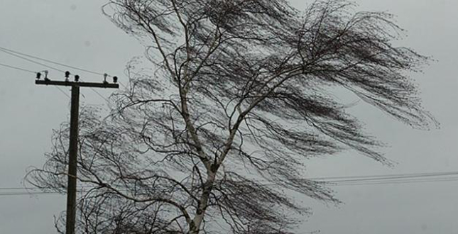 23 січня у столиці очікуються пориви вітру 15-20 м/с – Укргідрометцентр