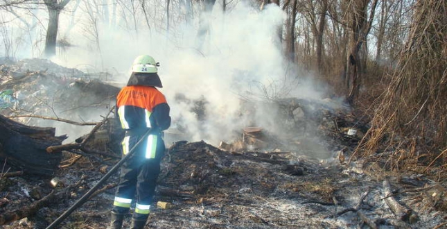 Із 23 до 31 березня вогнеборці 112 разів виїжджали на гасіння пожеж в екосистемах Києва