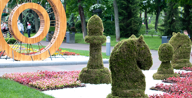 У Києві відкрили унікальну виставку «Аліса в країні див», для створення якої використали 50 тисяч квітів