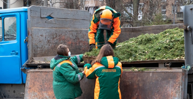 У Києві презентували цикл екологічної переробки новорічних ялинок: утилізувати хвойне дерево можна до 1 лютого (+фото)
