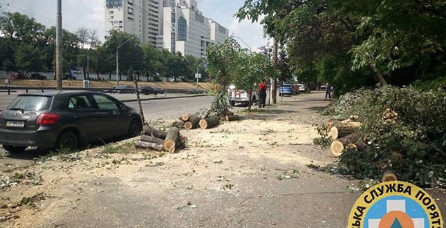 За дві доби рятувальники КАРС «Київська служба порятунку» прибрали 10 локацій від аварійних та повалених дерев (+фото)