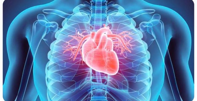 Захворювання серцево-судинної системи: фактори ризику та профілактика