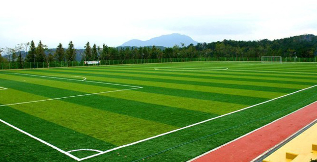 У 60 закладах освіти Києва збудують футбольні поля зі штучним покриттям, з них 5 - у Подільському районі