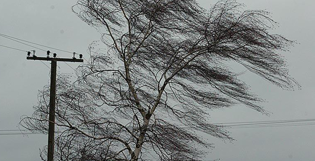 4 лютого у Києві пориви вітру 15-20 м/с, вночі – місцями сильний дощ